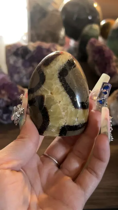 plant/Septarian Freeform-0-thumbnail