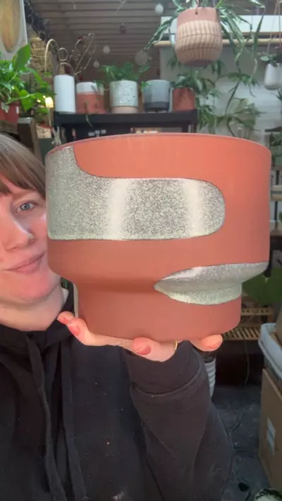 plant/fernway Planter 7”-0-thumbnail