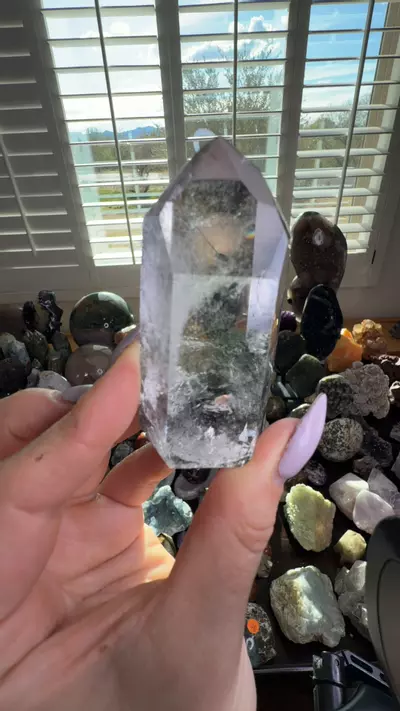 plant/AAA GARDEN-0-thumbnail