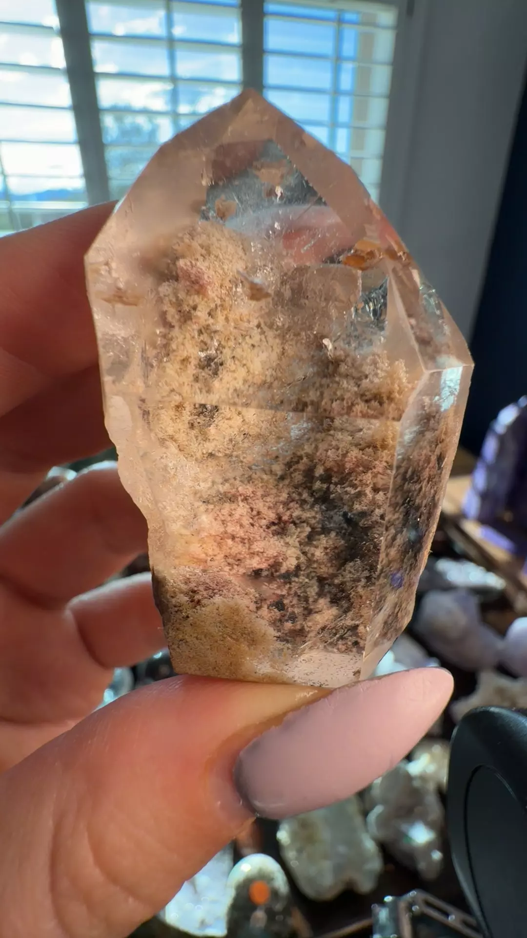 plant/garden quartz-0