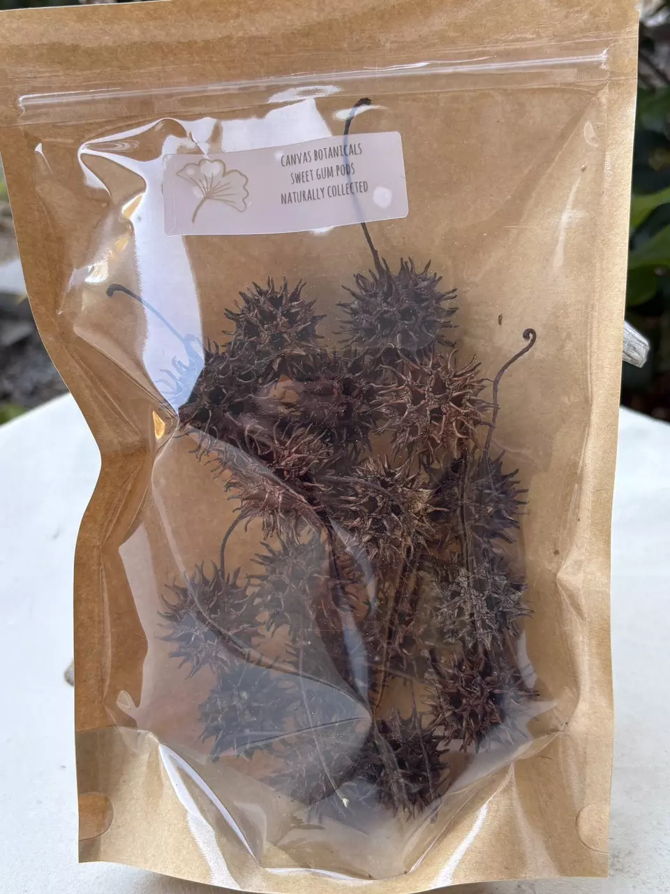 plant/dried sweet gum pods, 20 ct-0