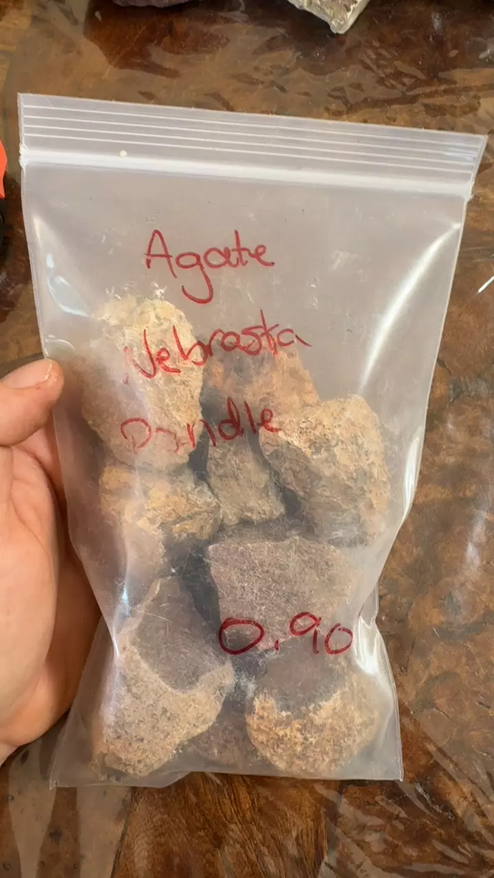 plant/agate Nebraska pandle 0.90lbs-0