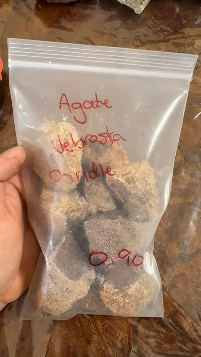 plant/agate Nebraska pandle 0.90lbs-0-thumbnail