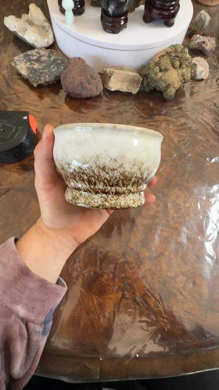 plant/4” diameter 3”depth-0