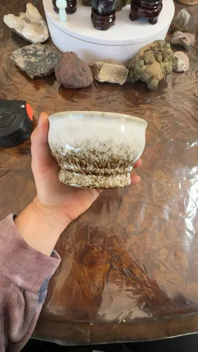 plant/4” diameter 3”depth-0-thumbnail