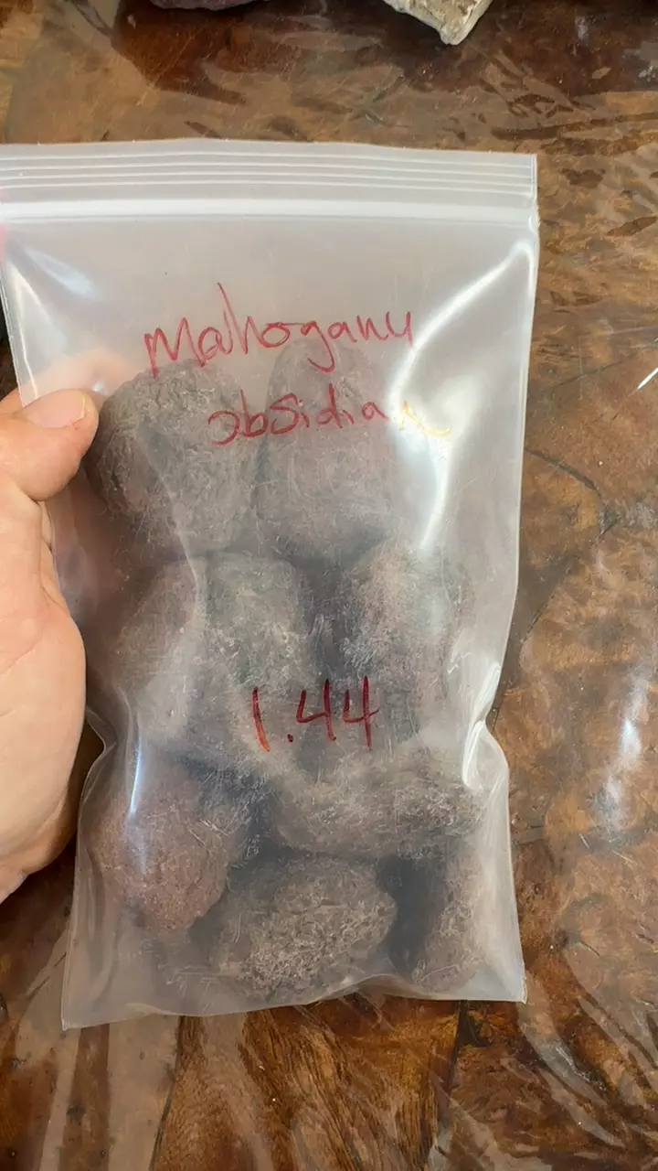 plant/mahogany obsidian 1.44lb-0