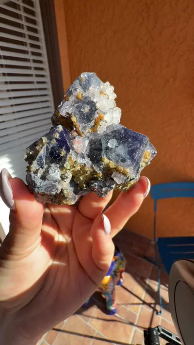 plant/Nigerian daylight fluorite pyrite quartz-0-thumbnail