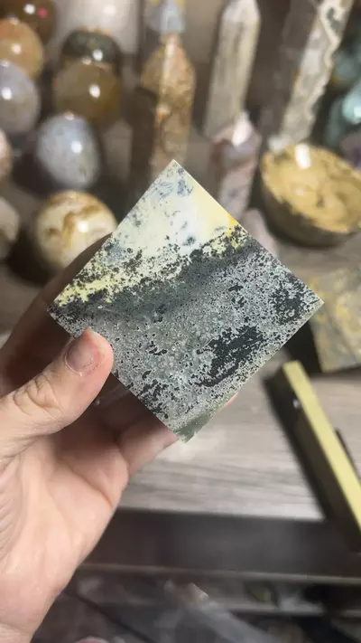 plant/Cube-0-thumbnail