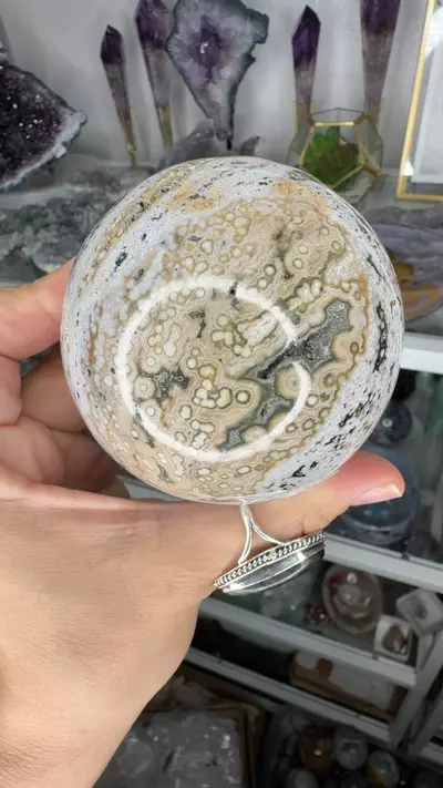 plant/peach orby oj-0-thumbnail