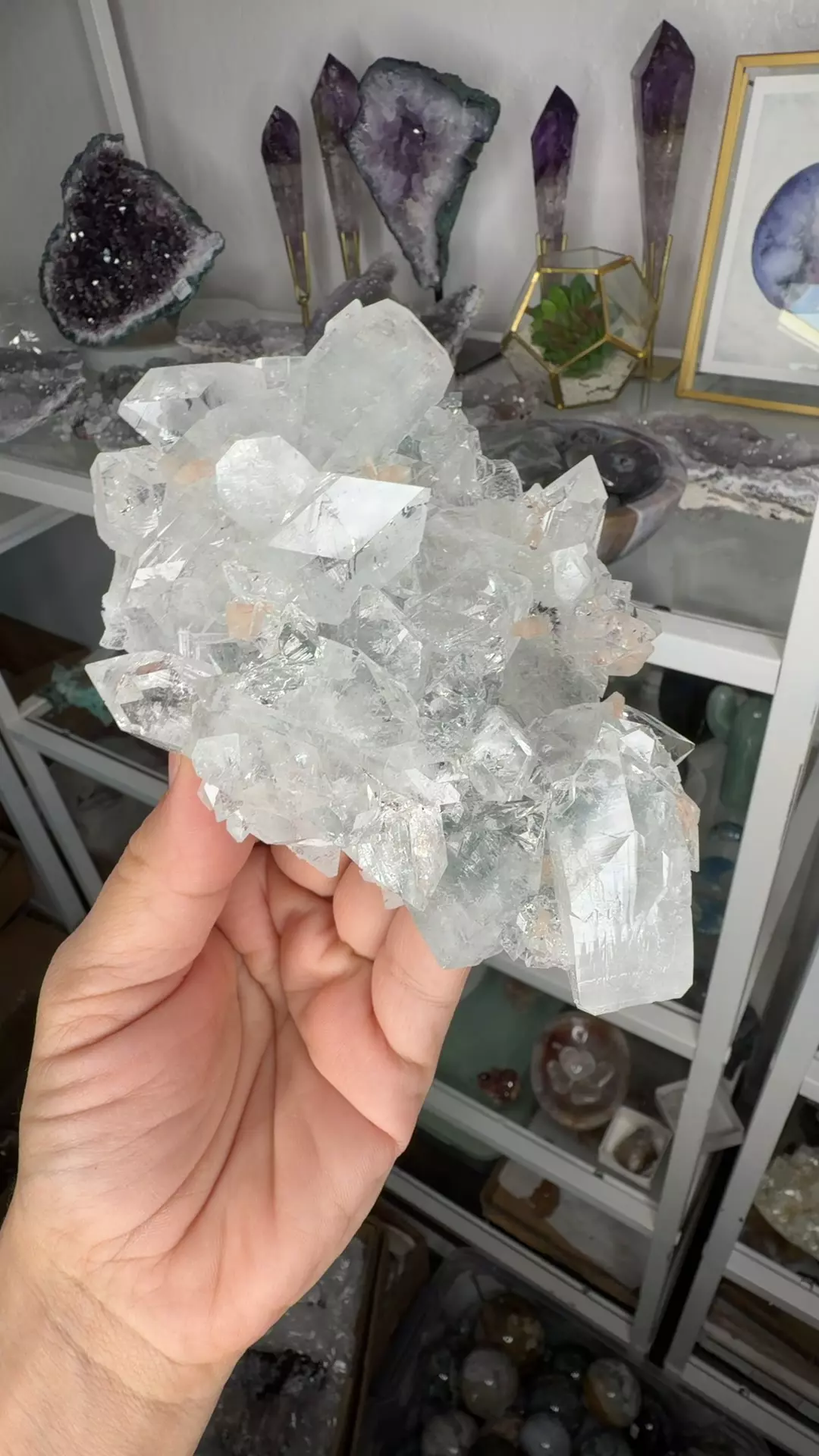 plant/diamond Apophyllite w stilbite 198-0