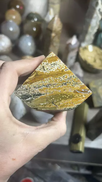 plant/OJ Cube-0-thumbnail