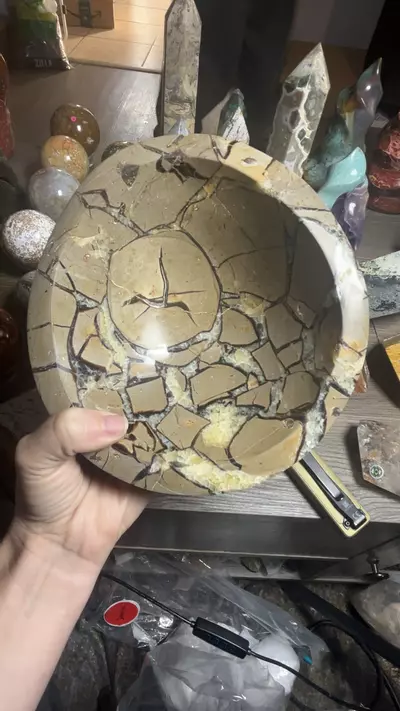 plant/Septarian-0-thumbnail