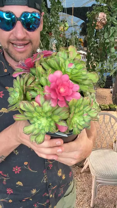 plant/8376: Ultralight Gallon-0-thumbnail