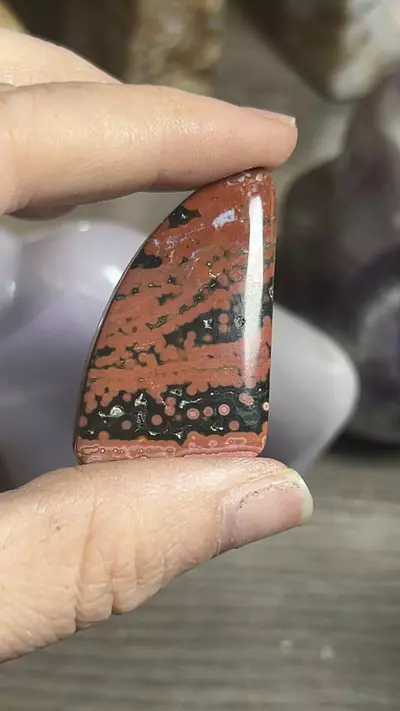 plant/OJ Cab-0-thumbnail