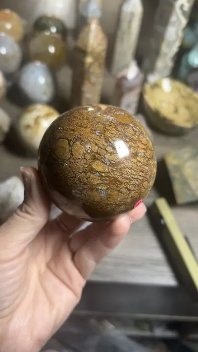 plant/Ibis Jasper Sphere-0-thumbnail