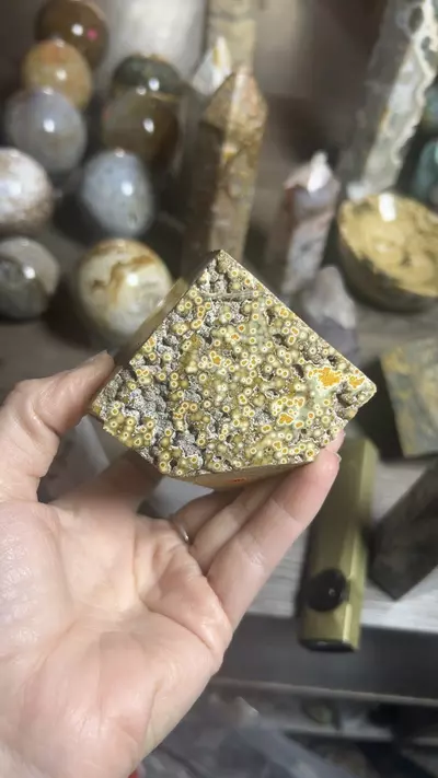 plant/OJ Cube-0-thumbnail