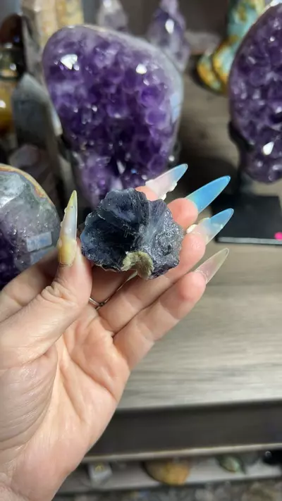 plant/Ygx Fluorite-0-thumbnail