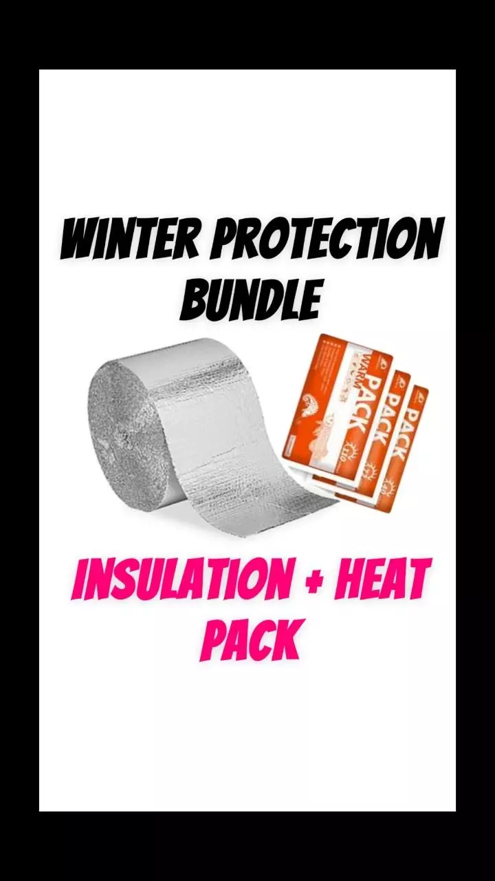 plant/Winter Bundle-0