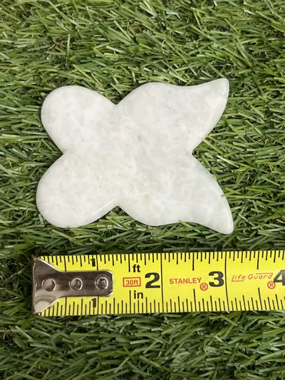 plant/White Jade Butterfly-0-thumbnail