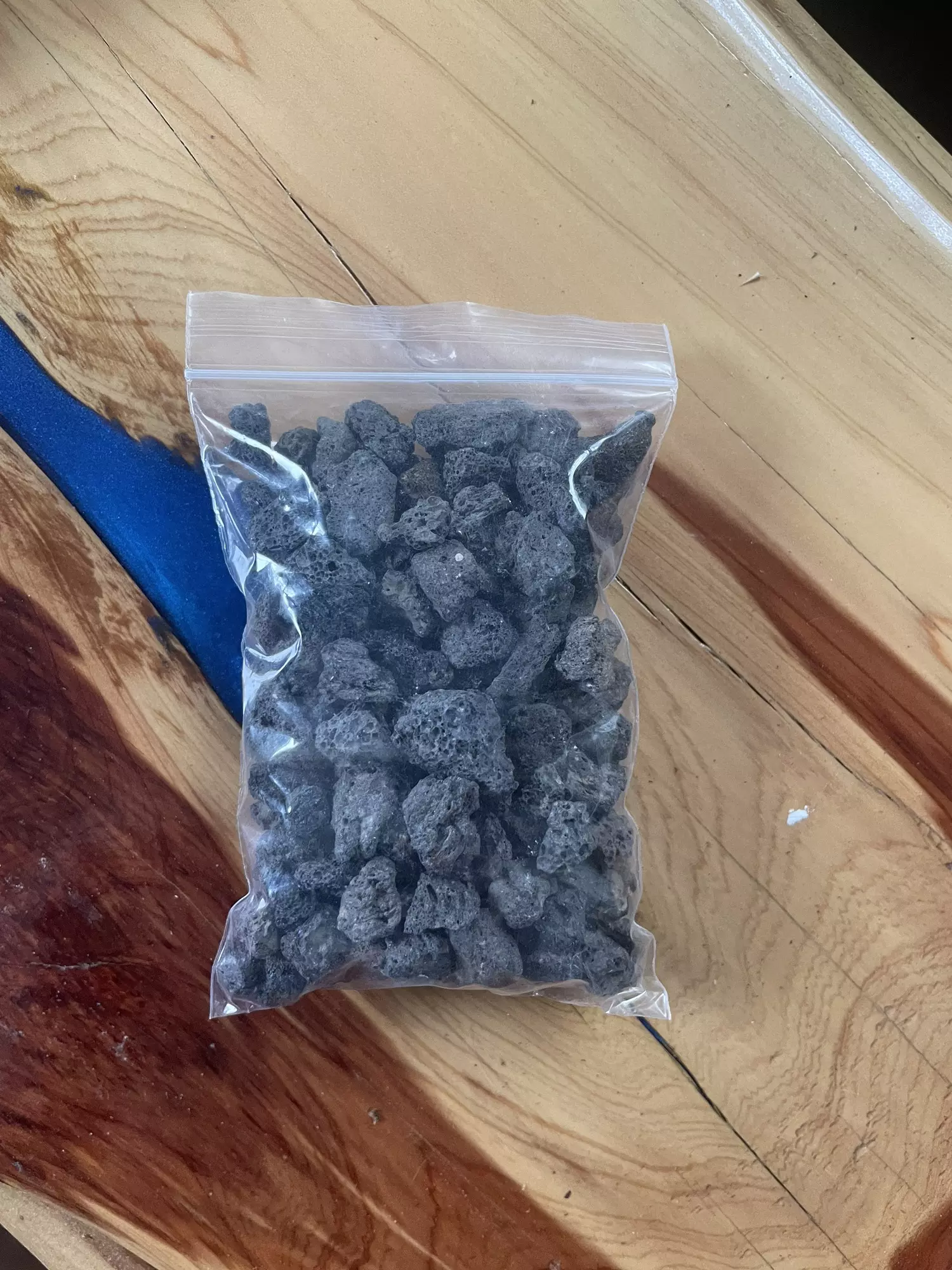 plant/Black lava rock-0