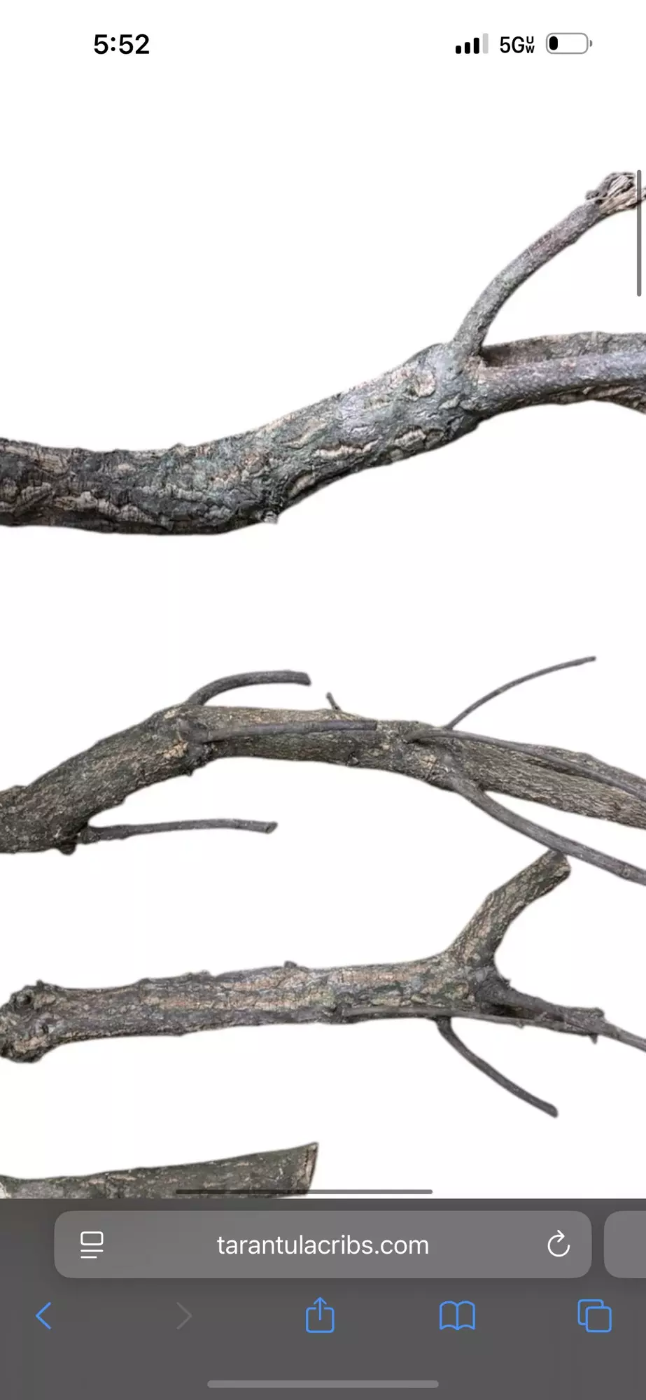 plant/Assorted cork Branch. About 8 inch-0