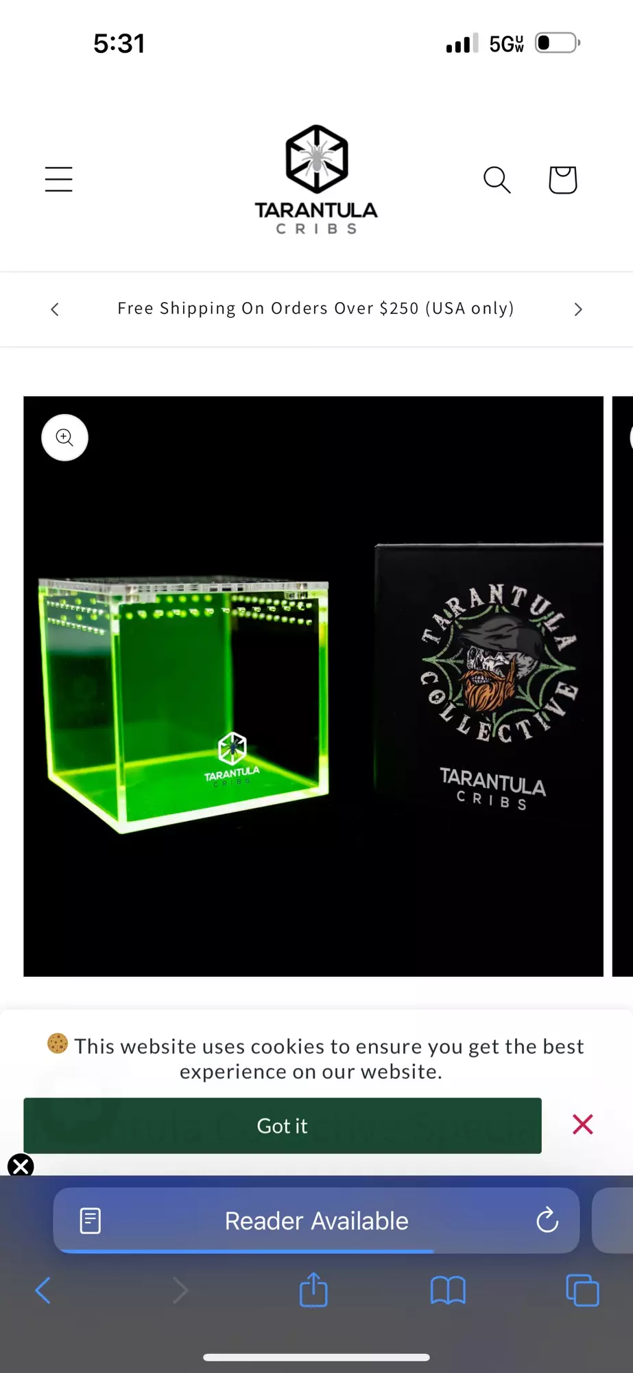 plant/Tarantula collective cube-0