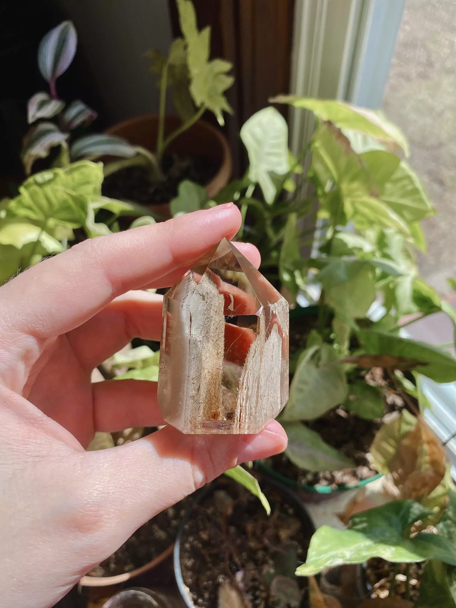 plant/High quality Smokey Garden Quartz free form w/ Black Rutile inside (brazil)-1