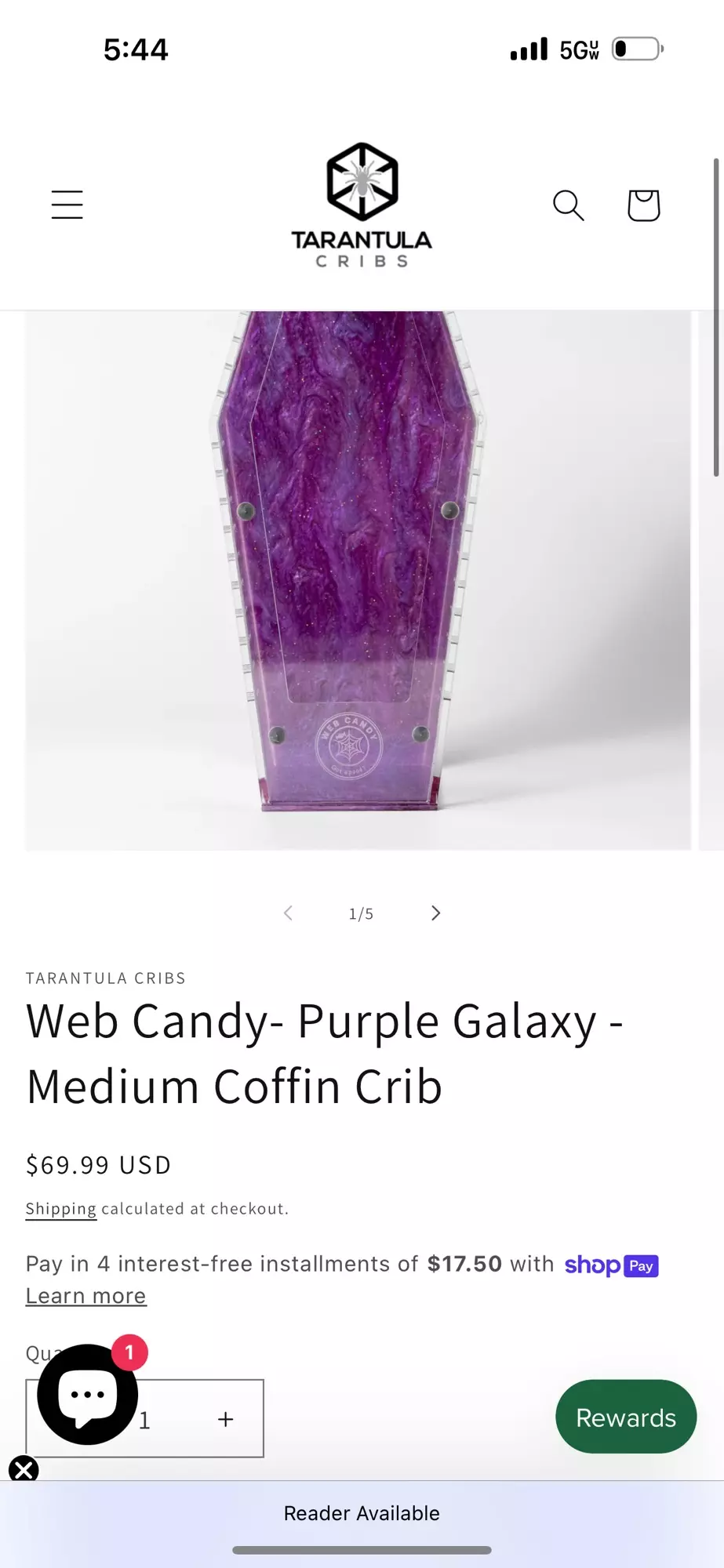 plant/Web Candy Galaxy Purple-0