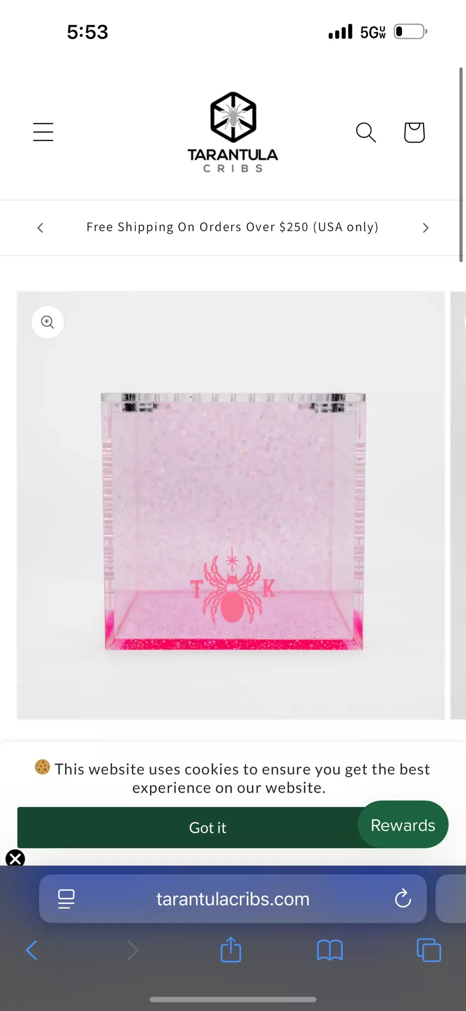 plant/3 inch Kat cube-0