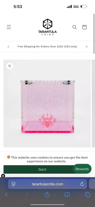 plant/3 inch Kat cube-0-thumbnail