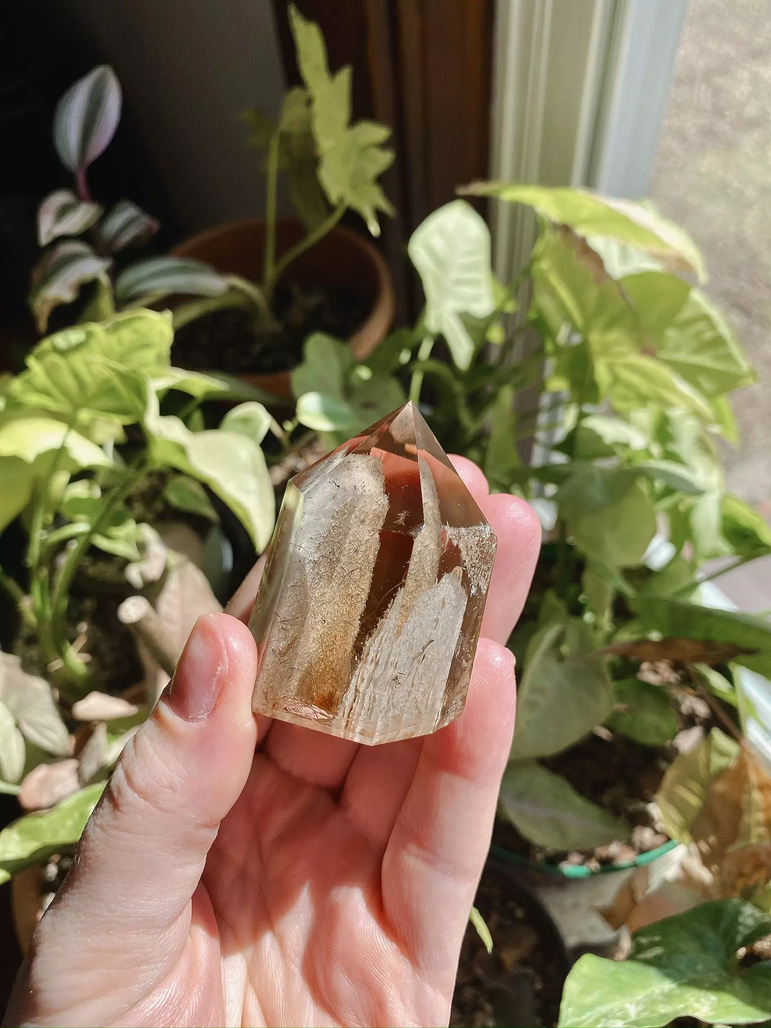 plant/High quality Smokey Garden Quartz free form w/ Black Rutile inside (brazil)-0