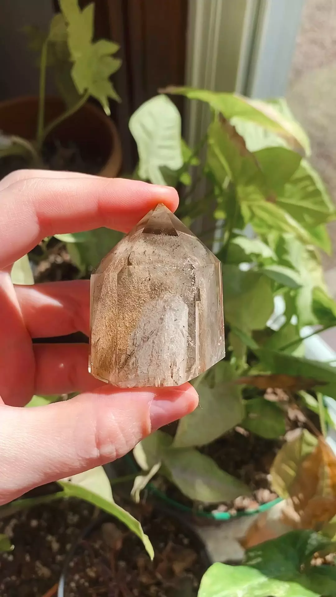 plant/High quality Smokey Garden Quartz free form w/ Black Rutile inside (brazil)-4