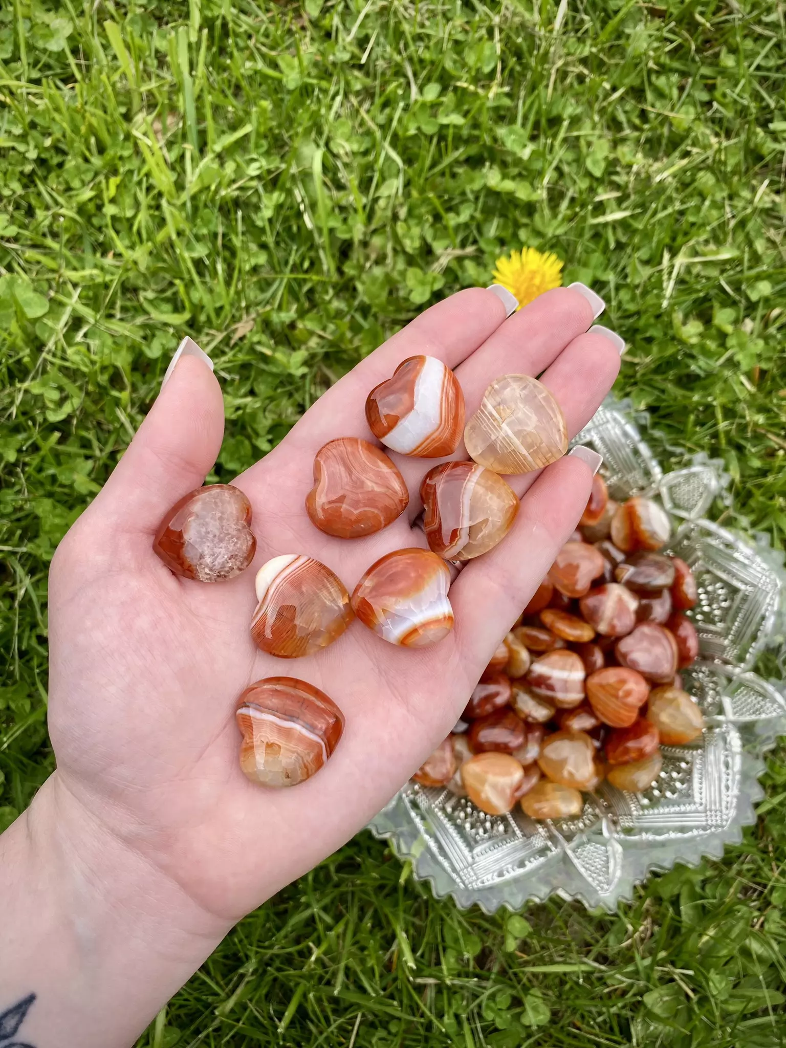 plant/Mini Carnelian Heart Carving-0