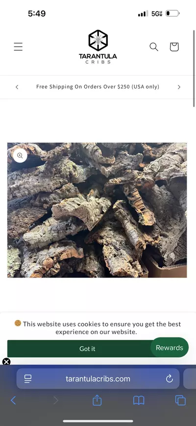 plant/Assorted cork flat - 1 lb-0-thumbnail