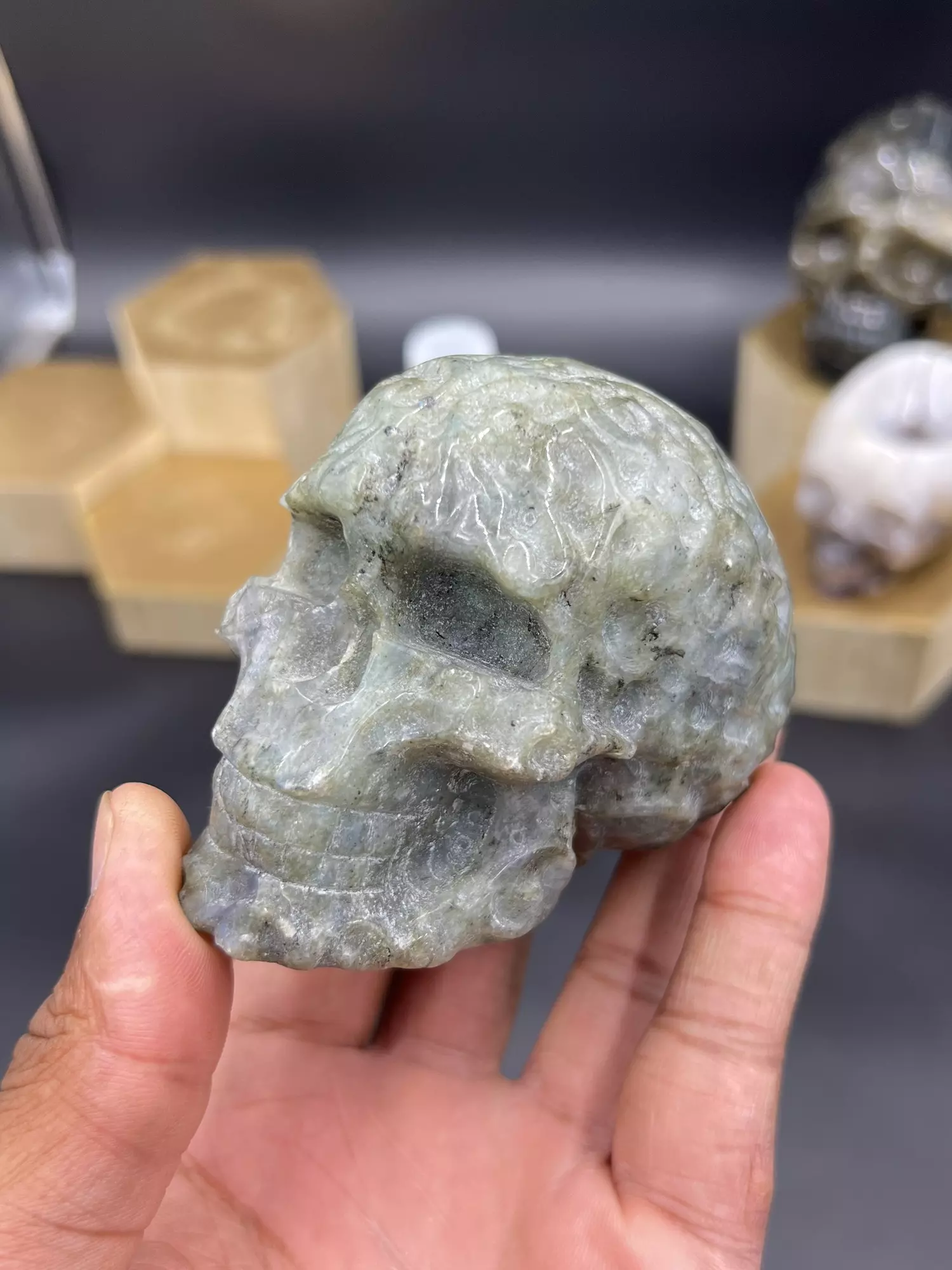 plant/Laser etched labradorite skull -0