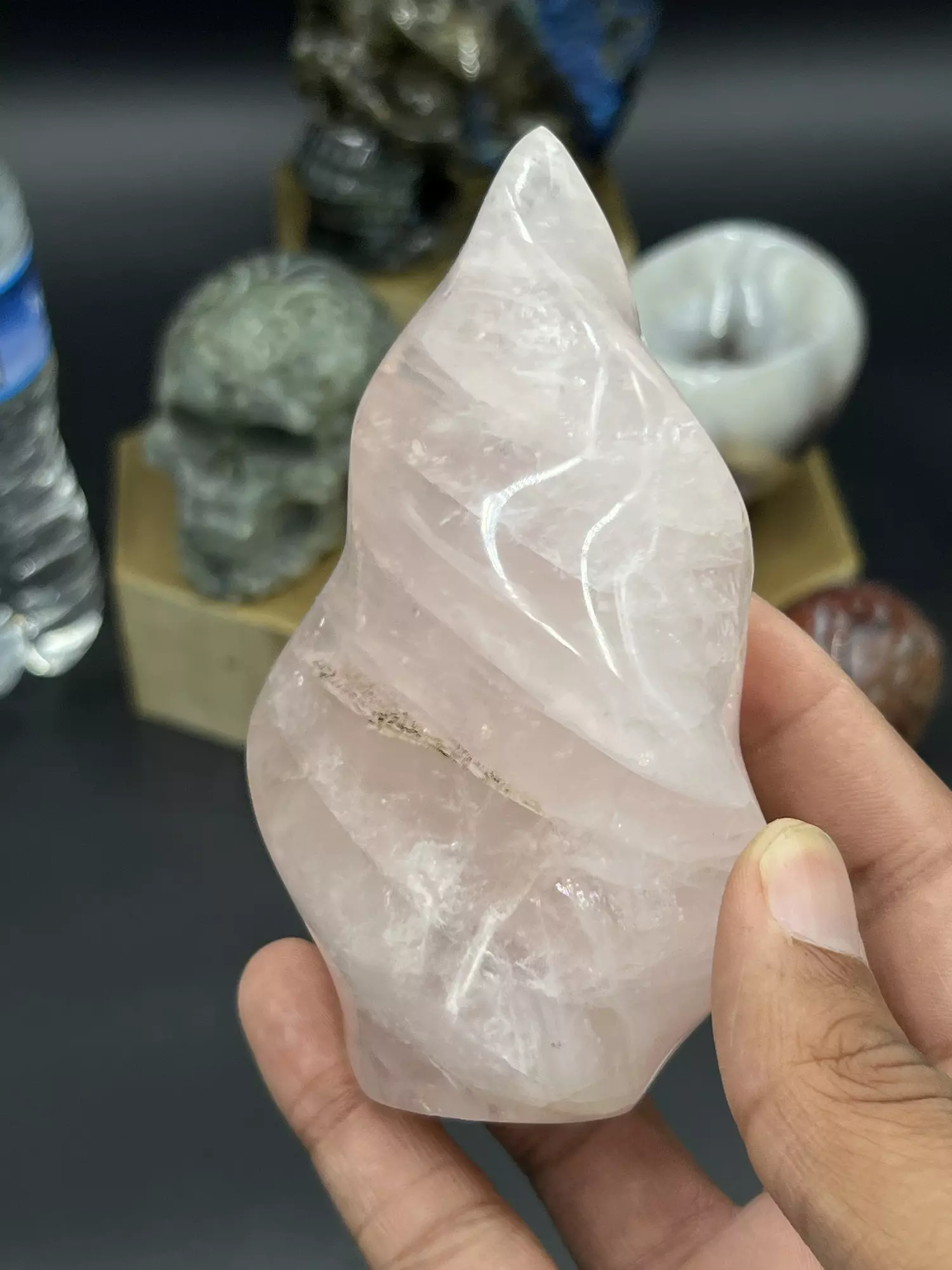 plant/Rose quartz flame 🔥 -0