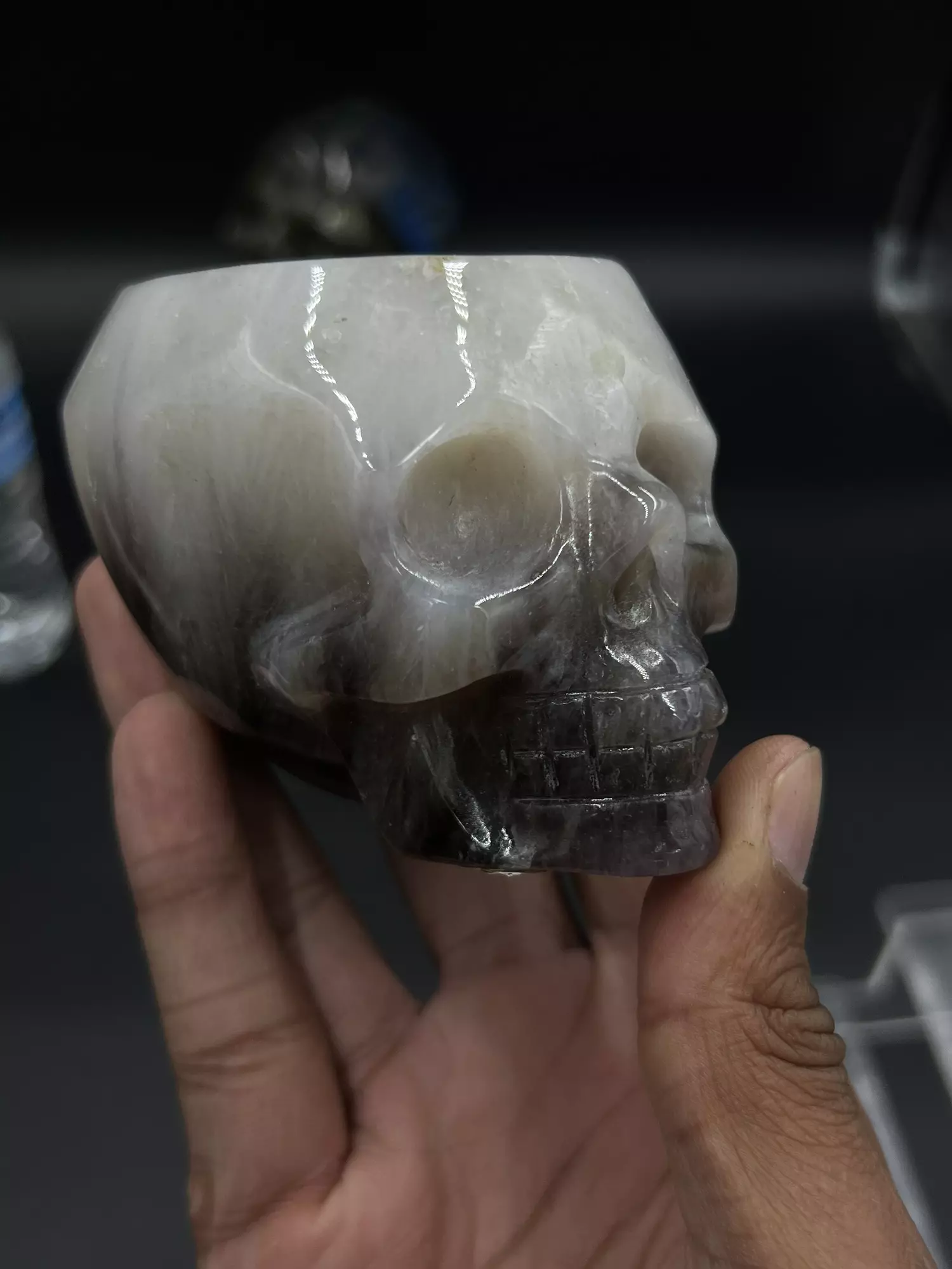 plant/Dream amethyst bowl skull -0