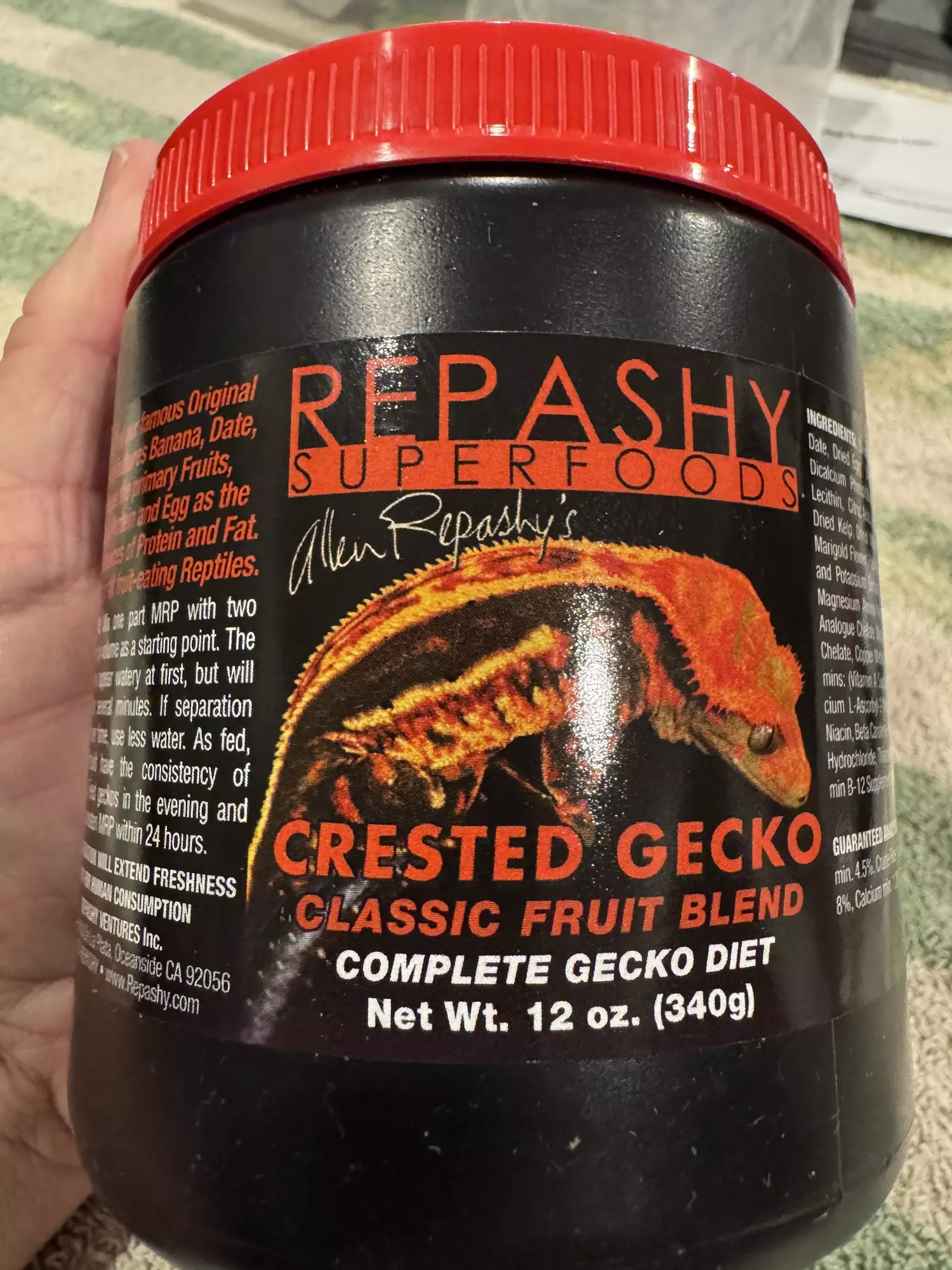 plant/Repashy chested gecko-0
