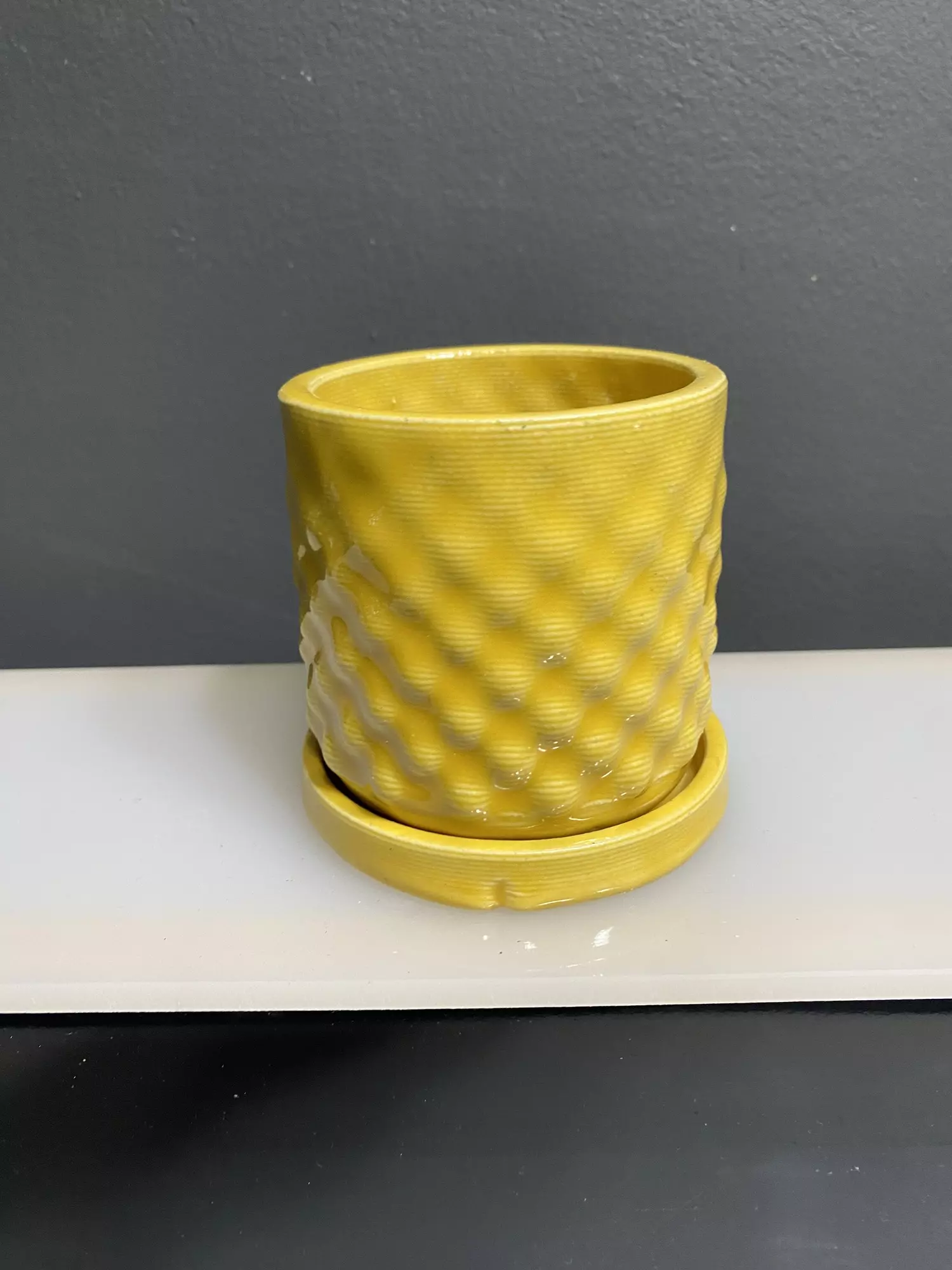 plant/3” Pentograph Dots Pot Marigold with drip Tray-0