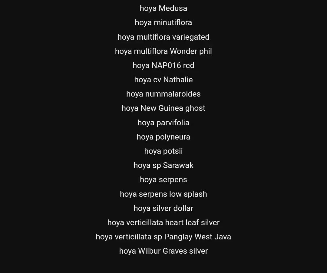 plant/🚨MESSAGE FOR FRESH CUTS-DO NOT BUY🛑-1