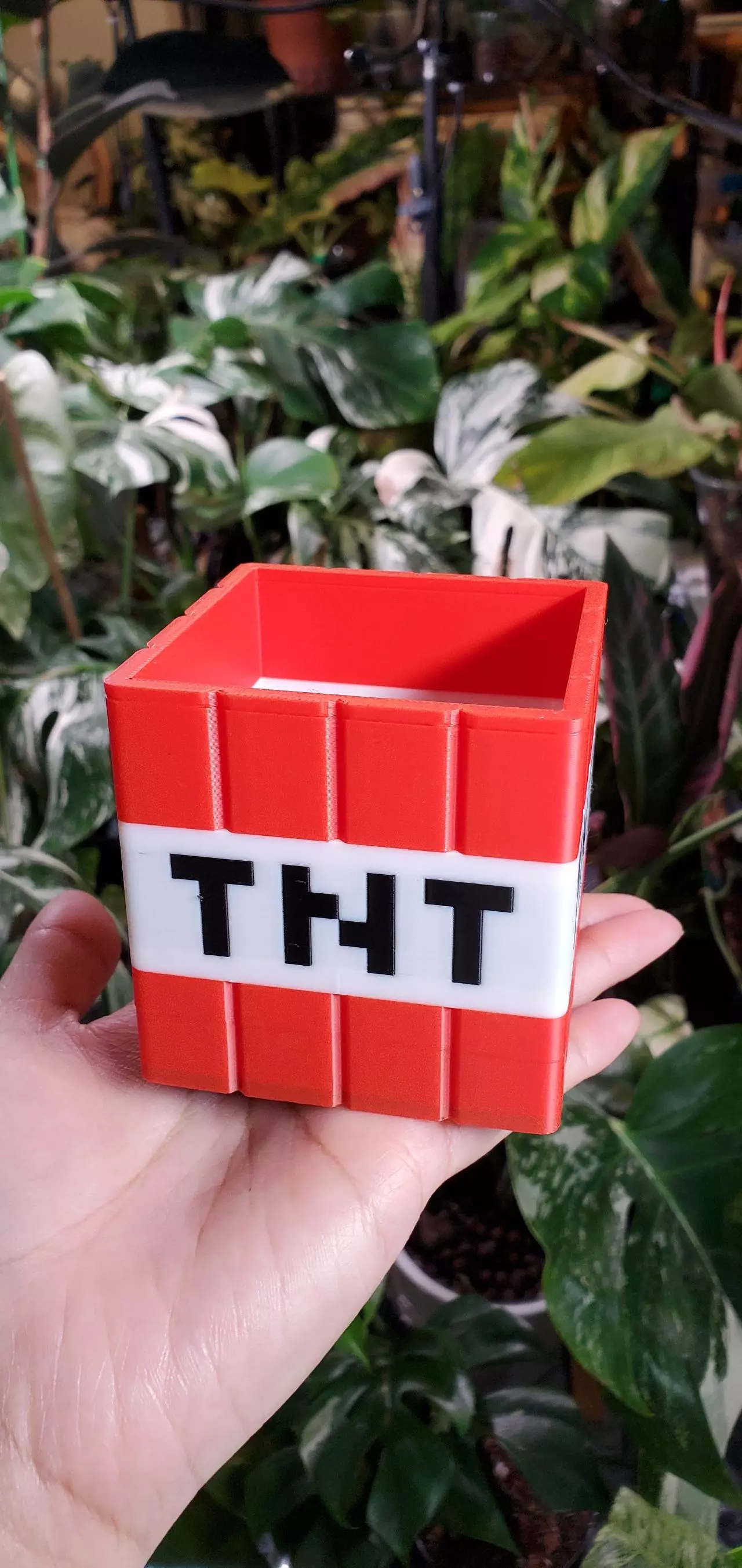 plant/TNT💣-0