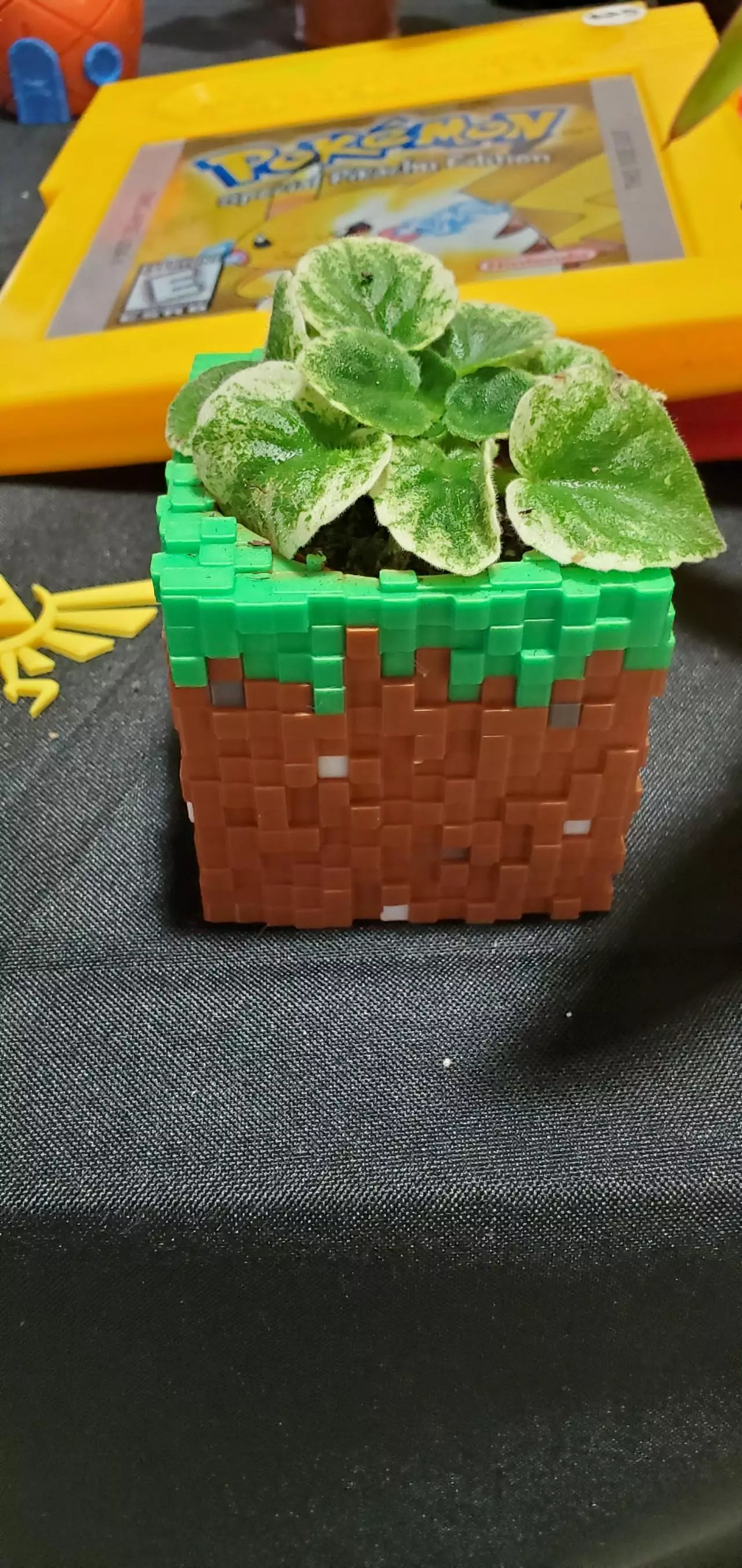 plant/MINECRAFT BLOCK-0