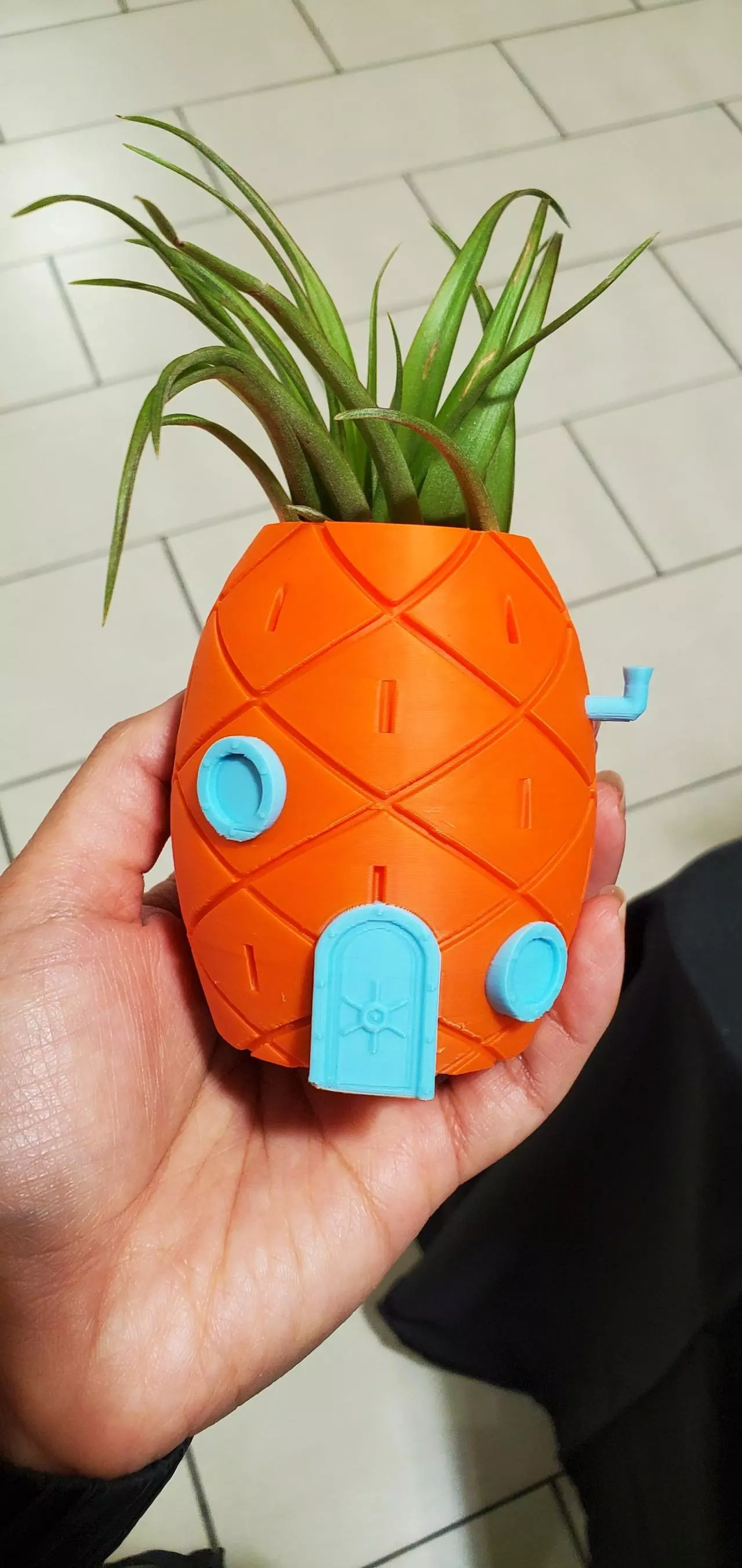 plant/🍍Planter-0