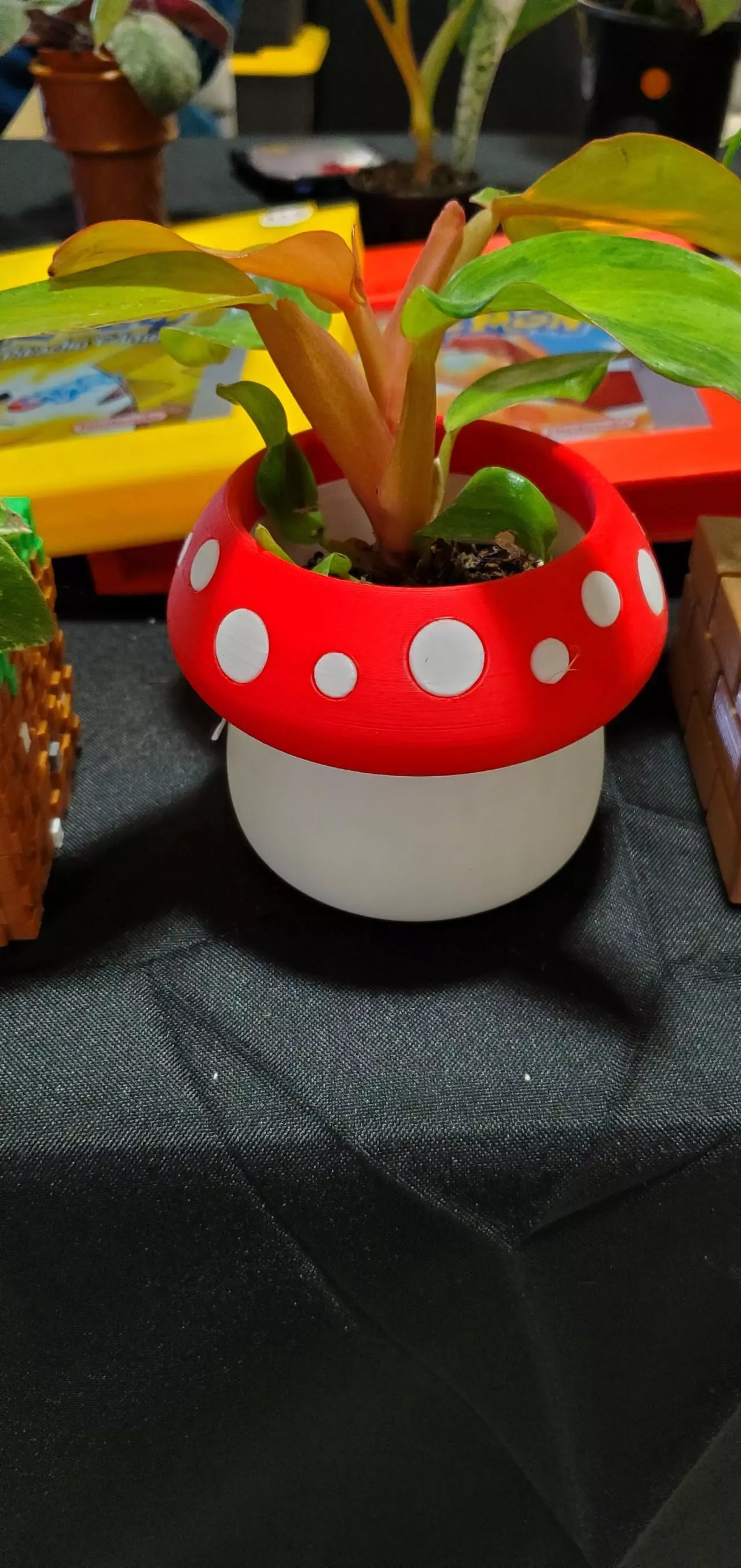 plant/Mushroom Planter-0