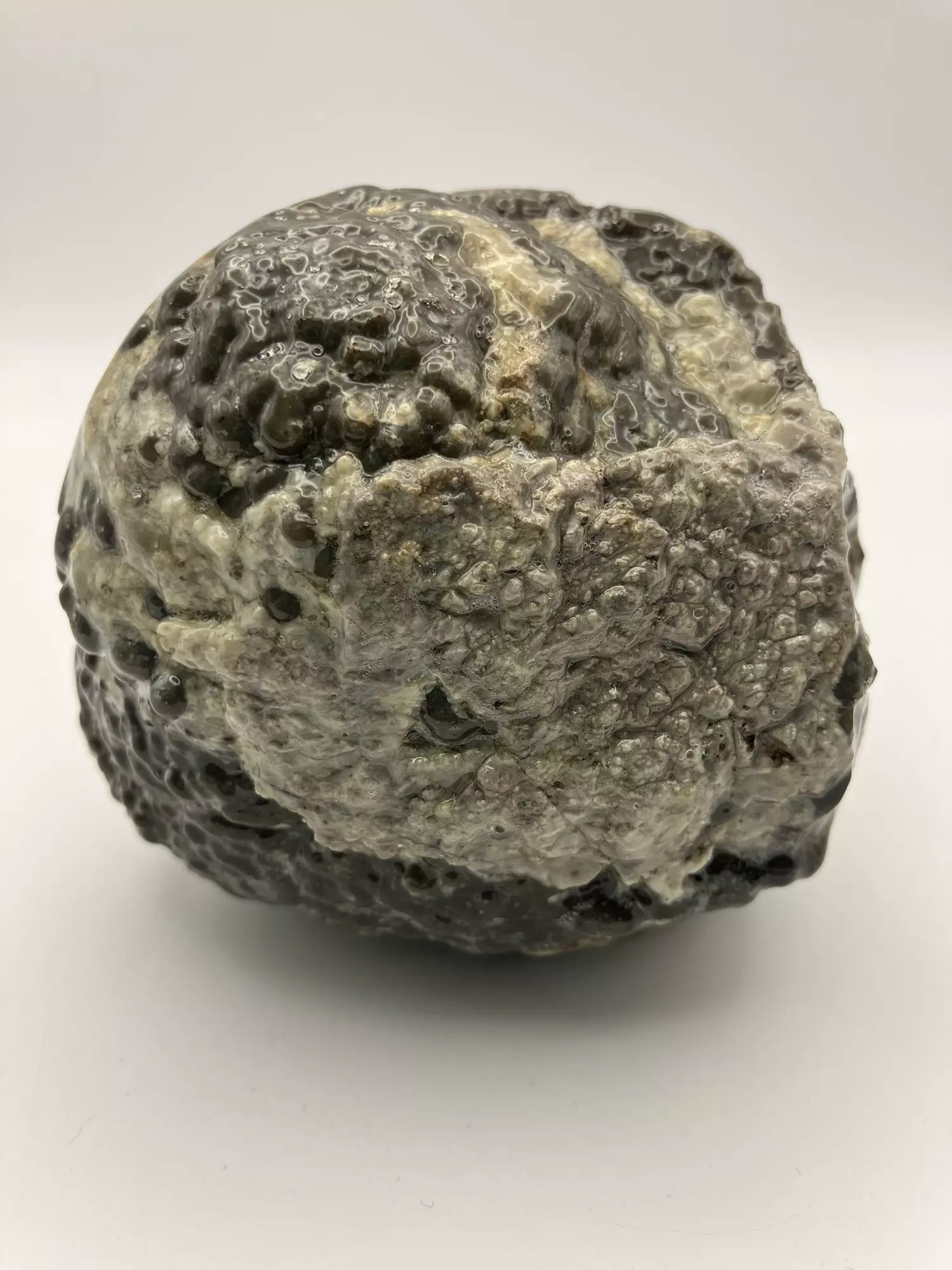 plant/Mcdermitt Agate - Opalized - Polished - 1lb 6.80oz-1