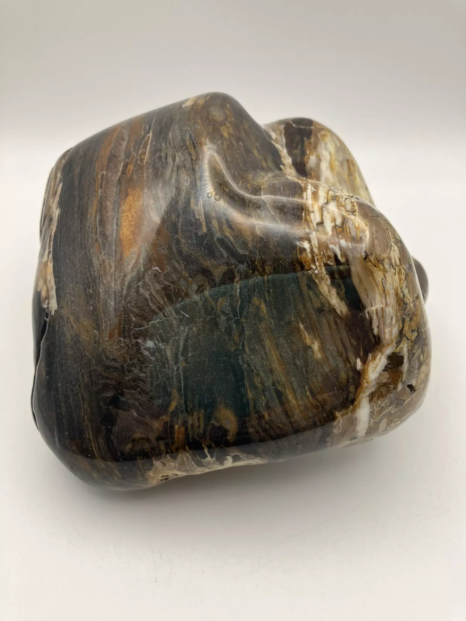 plant/Hampton Butte Petrified Wood - Agatized & Opalized - Polished - 2lbs 8.80oz-0