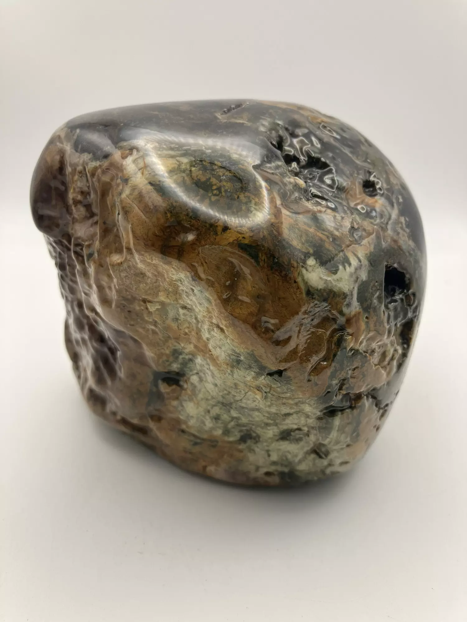 plant/Hampton Butte Petrified Wood - Agatized & Opalized - 3lbs-1