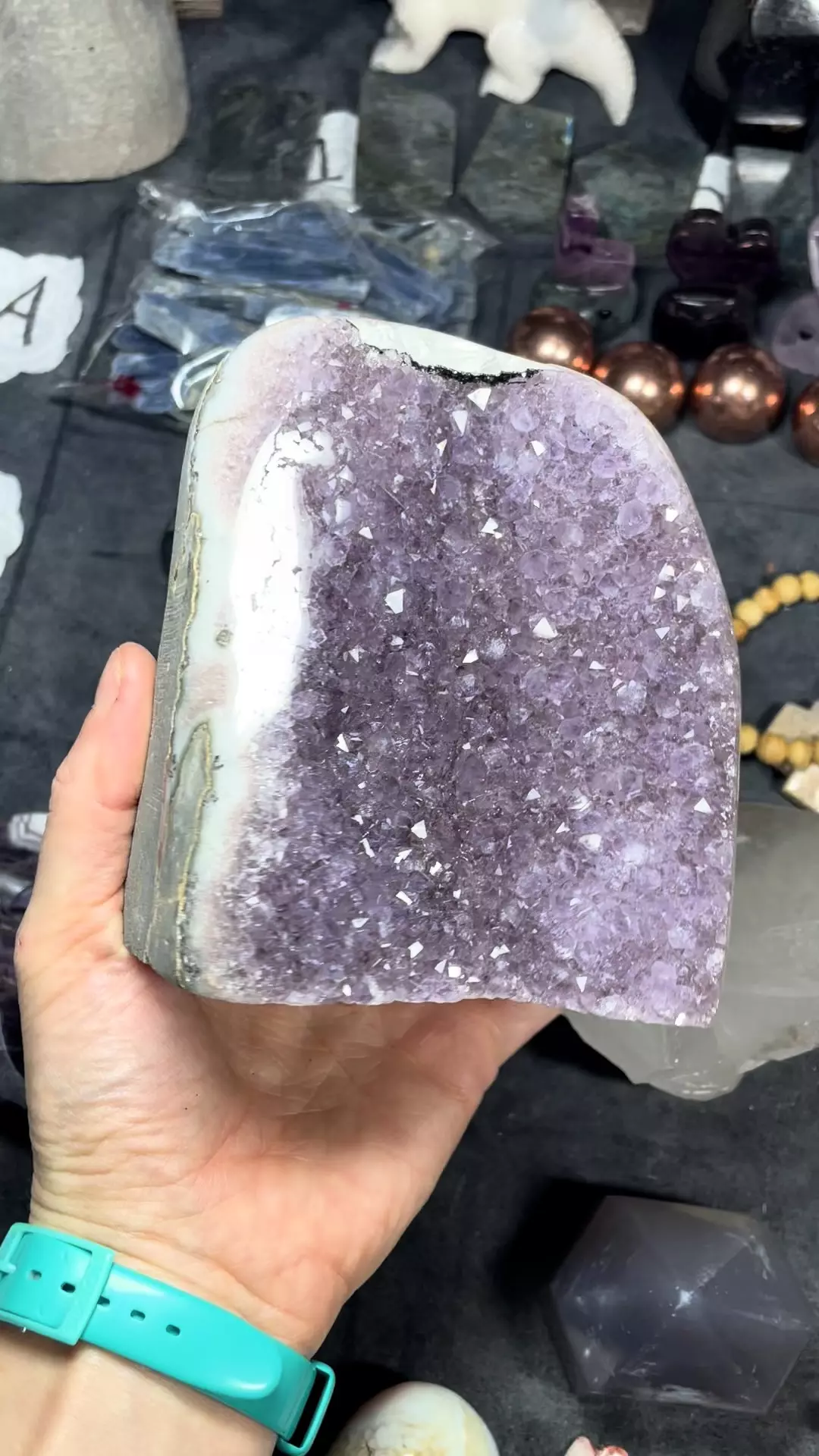 plant/#1 Amethyst cut base-0