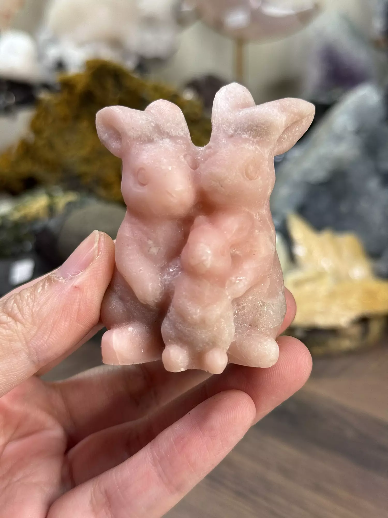 plant/Pink Opal Bunny Family-0