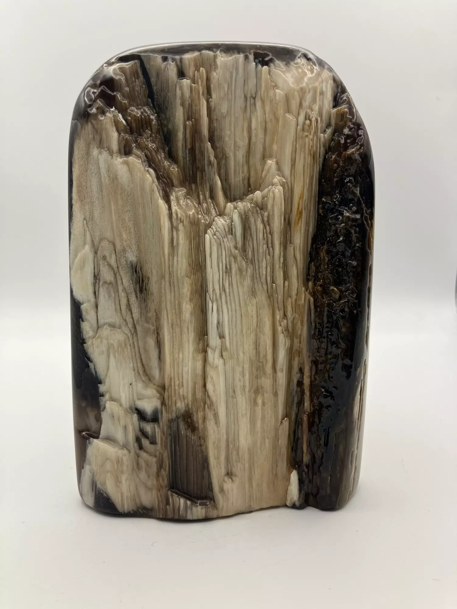 plant/Stinking Water Oak Petrified Wood - Agatized - Polished - 2lbs 1.10oz-1